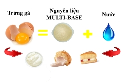 Nguyên liệu MULTI-BASE -- Thay thế trứng gà