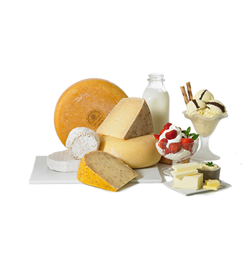 Sản phẩm từ sữa động vật (Dairy products)